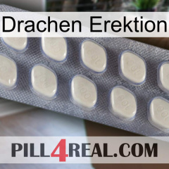 Dragon Erection 08